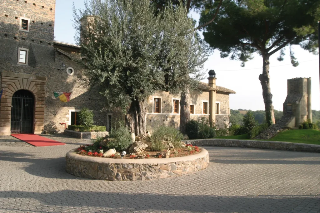The castle forecourt with an olive tree, stone walls and umbrella pines