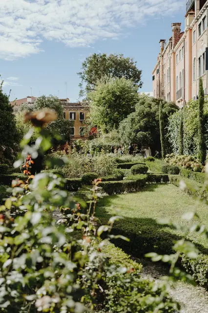 A lush corner of the garden with roses and the palace walls