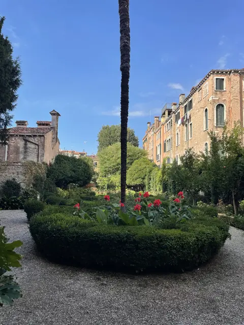 A tall palm tree rising above the clipped hedges and red flowers of the garden