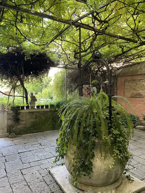 A large plant in a stone urn under a green pergola in the garden courtyard