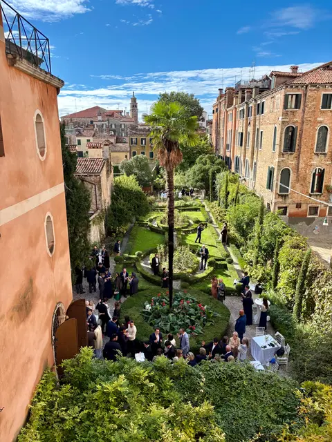 Wedding guests gathered in the garden around the palm tree, seen from an upper window